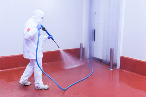 Best Concrete Sealing  in Maitland, FL