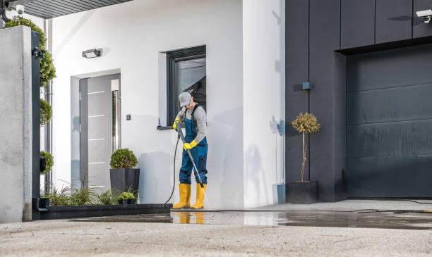 Best Sidewalk and Walkway Cleaning  in Maitland, FL